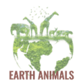 Earth Animals